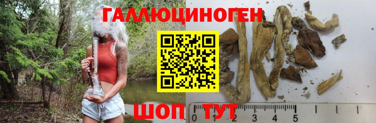 Псилоцибиновые грибы мицелий  Вход с VPN  Гурьевск 